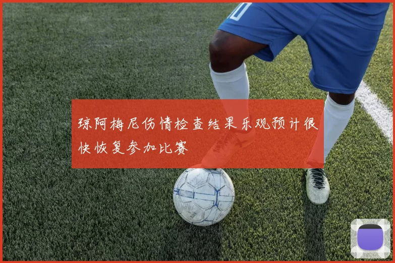 琼阿梅尼伤情检查结果乐观预计很快恢复参加比赛