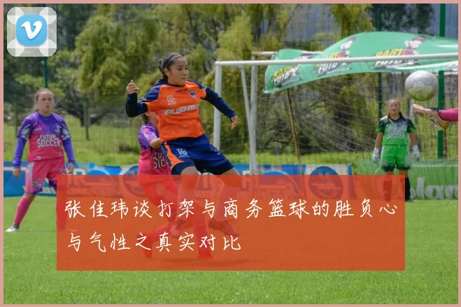 张佳玮谈打架与商务篮球的胜负心与气性之真实对比