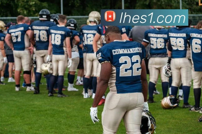 App Interface Preview